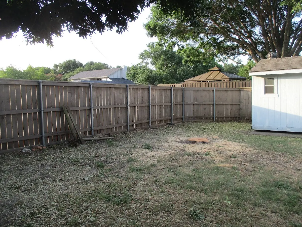 Cleared yard after professional tree removal in Boston